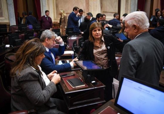 Milei volvió a fracasar con la ley de Sturzenegger para extranjerización de tierras 