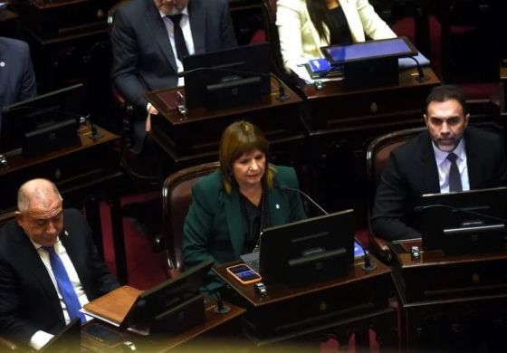 El gobierno tuvo que bajar el capítulo del Manejo del Fuego y ley de Tierras para aprobar menos de un tercio de la ley de Propiedad Privada